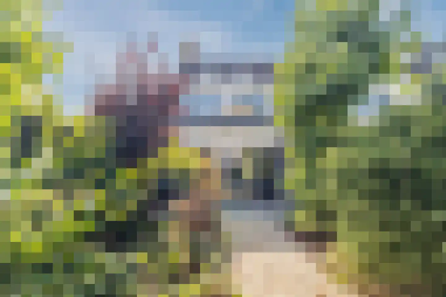 Vrouwenmantel 49 Breukelen thumbnail 34