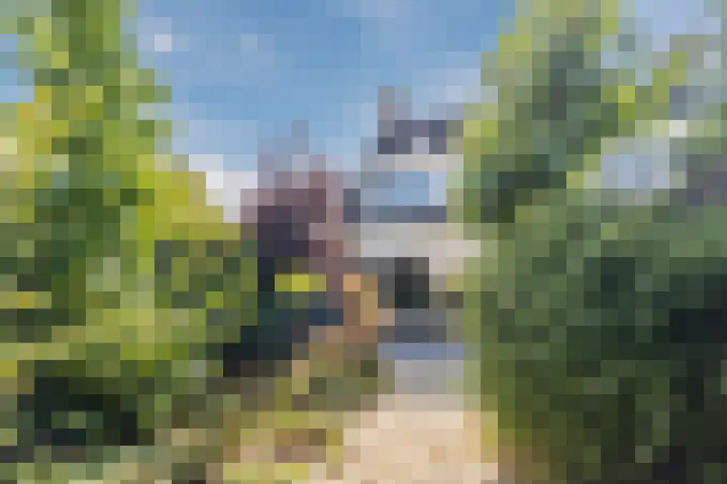 Vrouwenmantel 49 Breukelen thumbnail 35