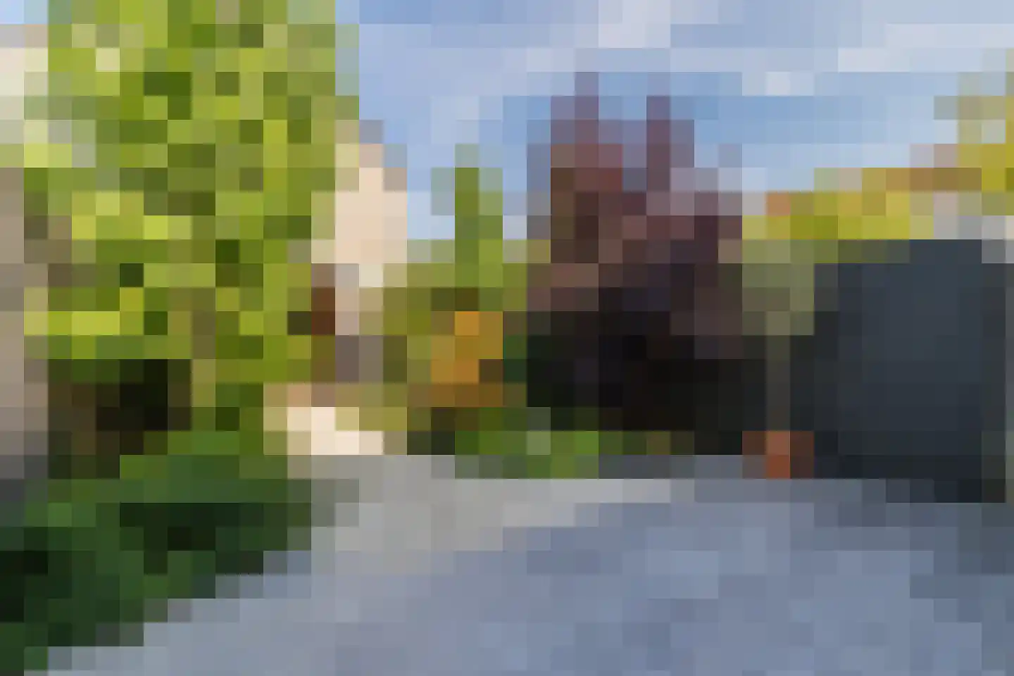 Vrouwenmantel 49 Breukelen thumbnail 36