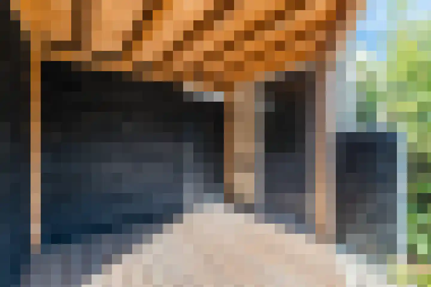 Vrouwenmantel 49 Breukelen thumbnail 37