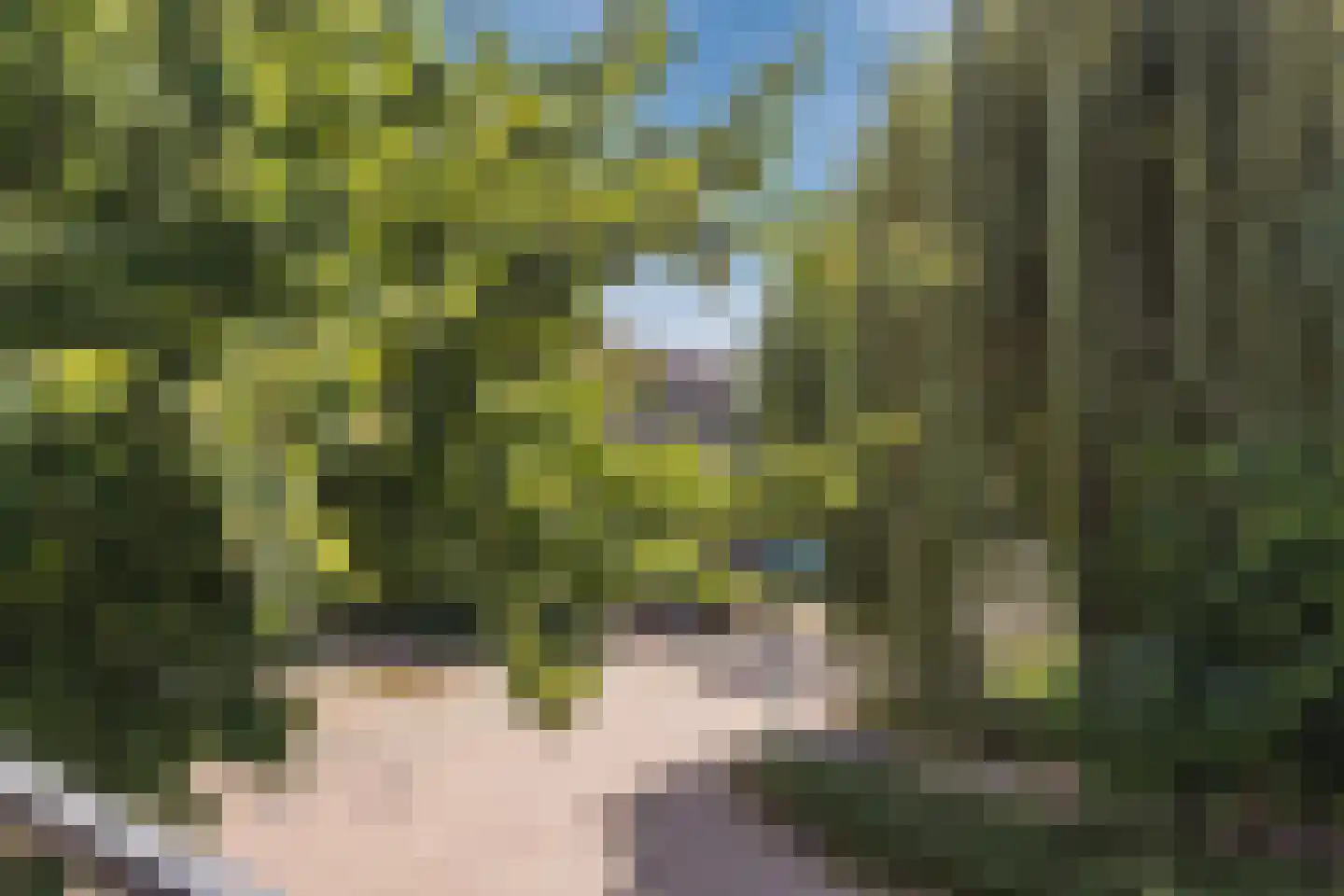 Vrouwenmantel 49 Breukelen thumbnail 39