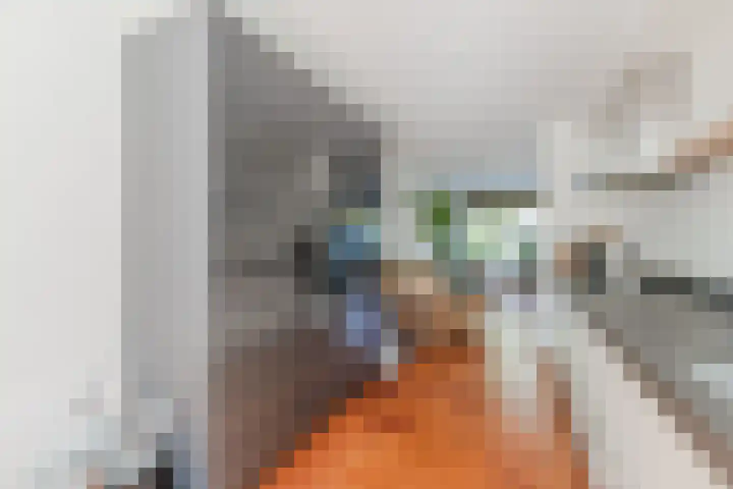Vrouwenmantel 49 Breukelen thumbnail 4