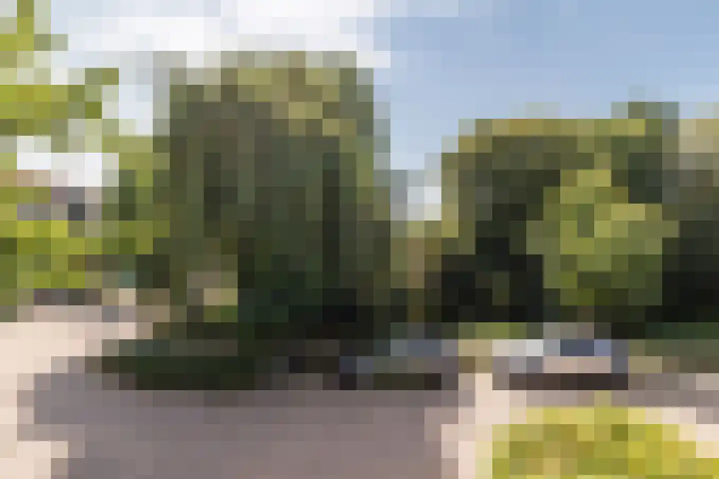 Vrouwenmantel 49 Breukelen thumbnail 40
