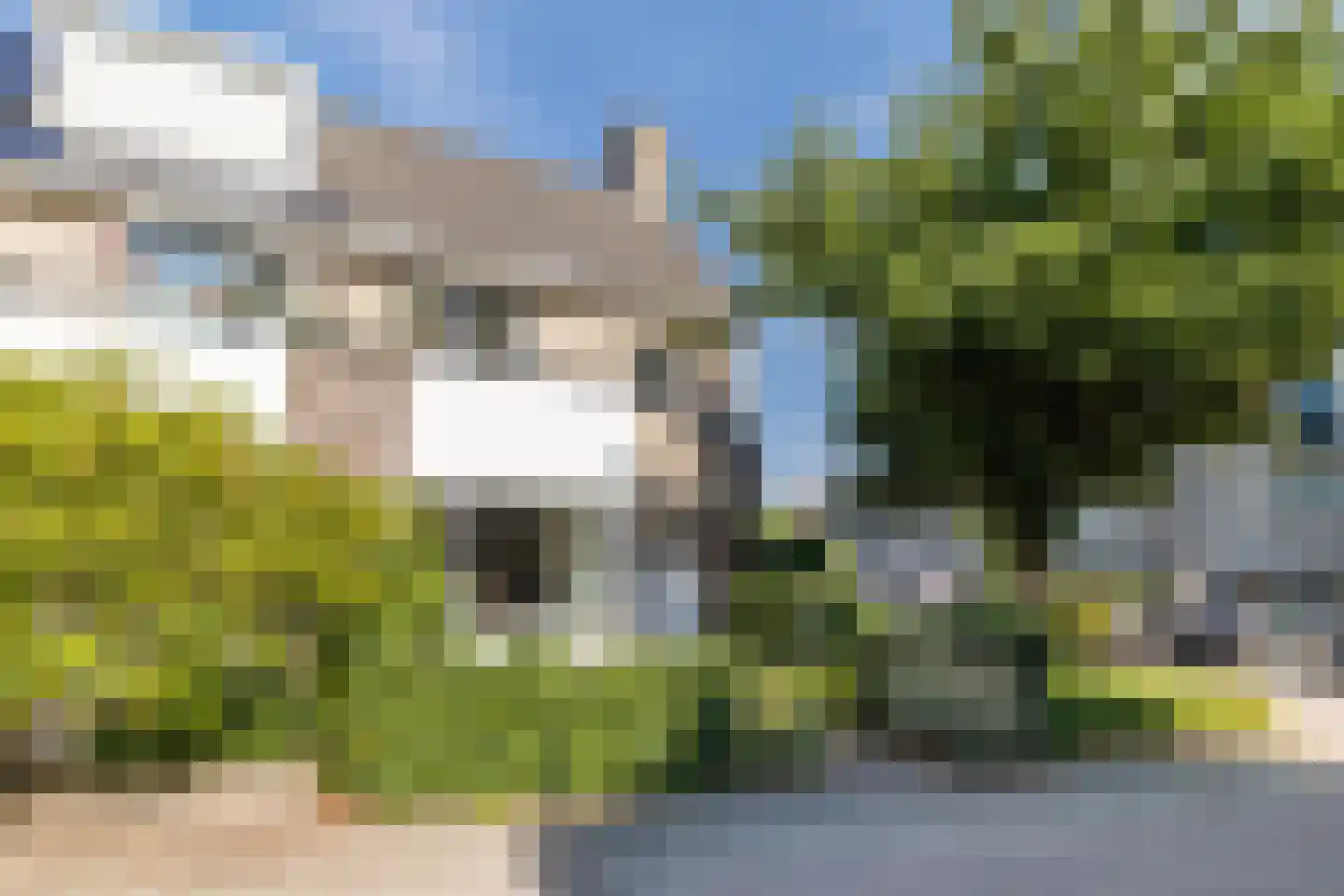 Vrouwenmantel 49 Breukelen thumbnail 5