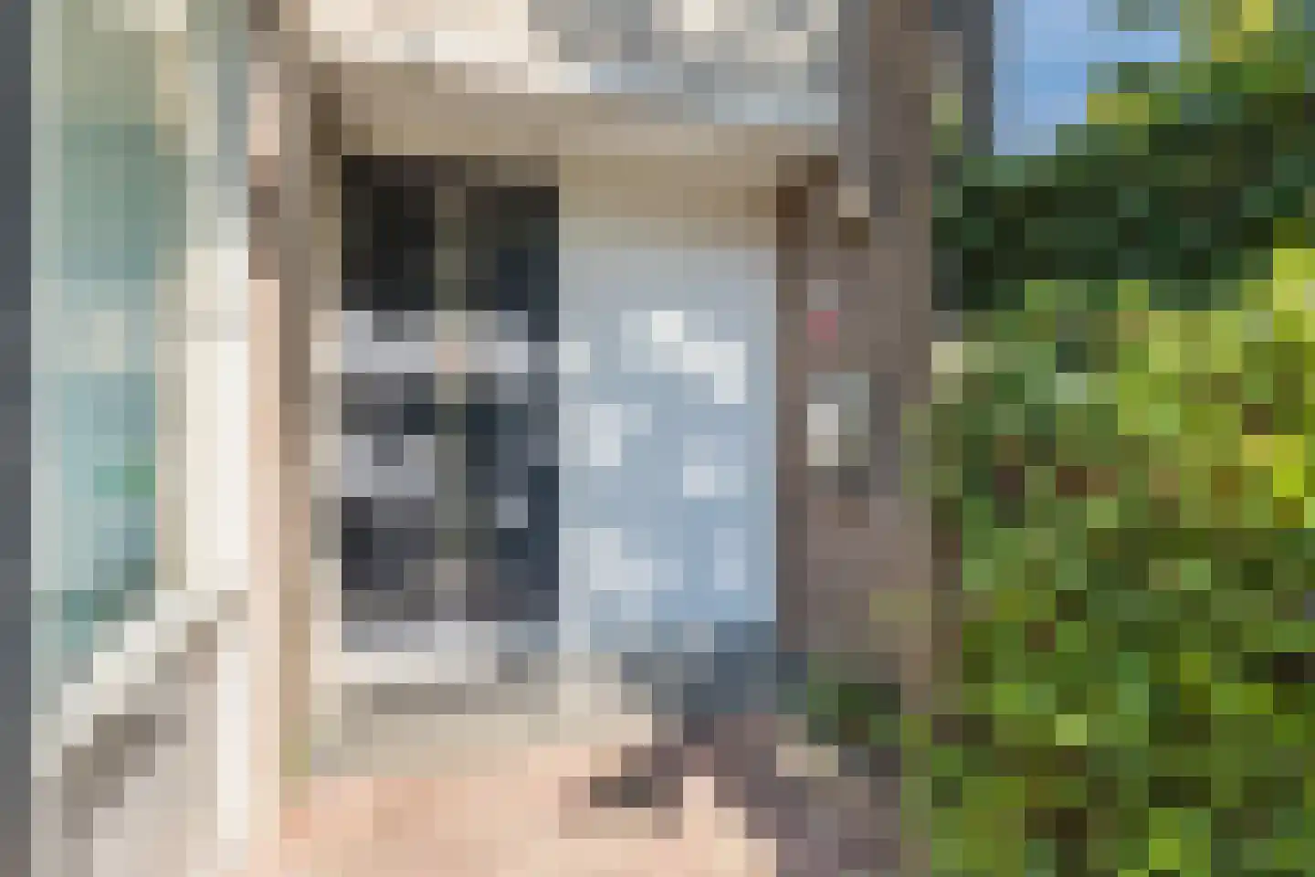 Vrouwenmantel 49 Breukelen thumbnail 6