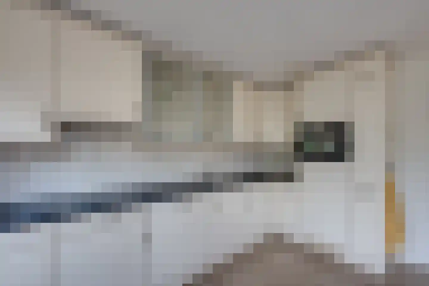 Vrouwenmantel 6 Berkel-Enschot thumbnail 17