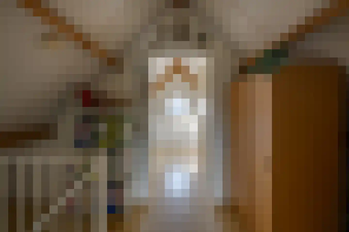 Vrouwenmantel 6 Berkel-Enschot thumbnail 30