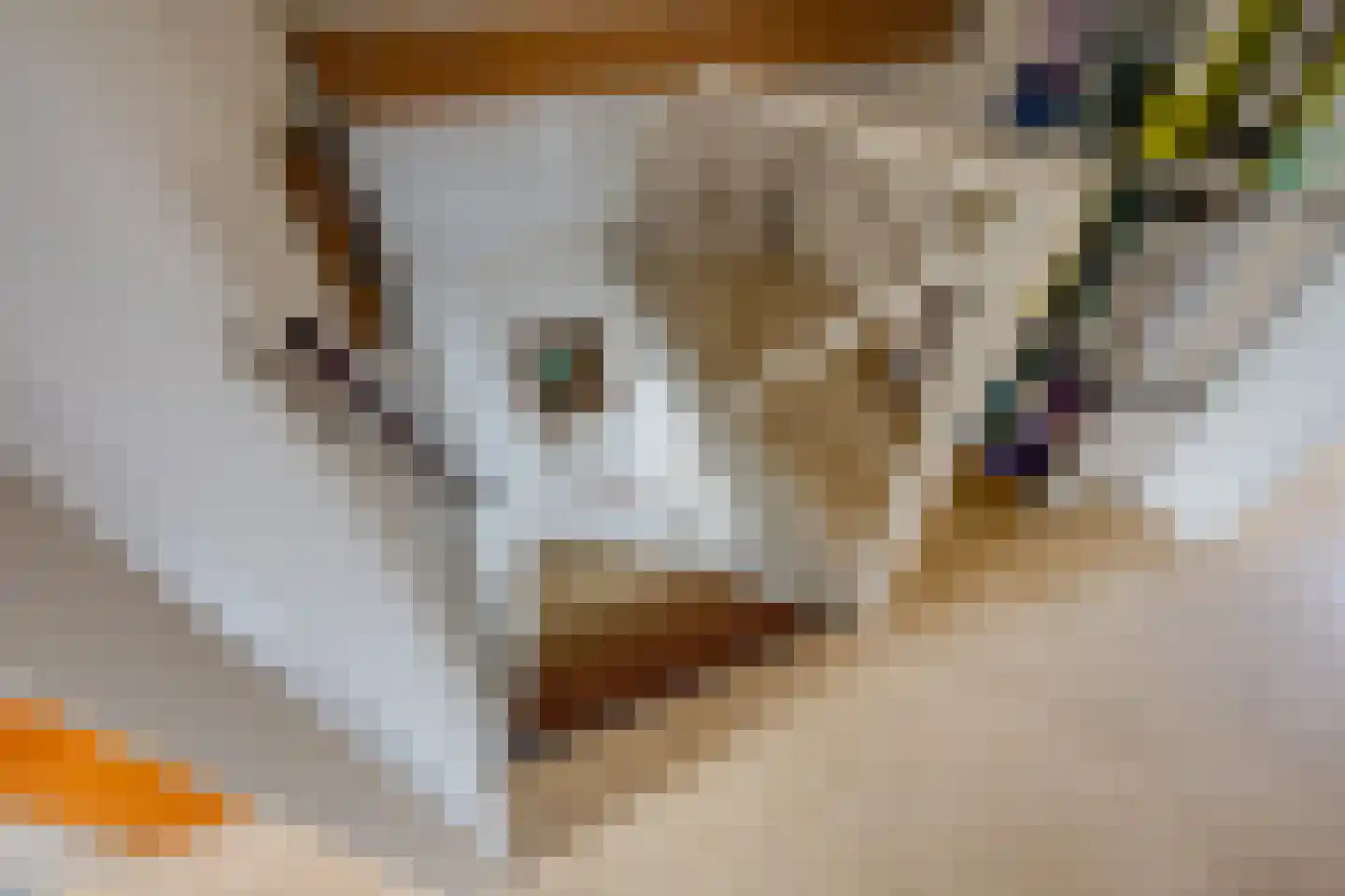 Vrouwenmantel 6 Berkel-Enschot thumbnail 31