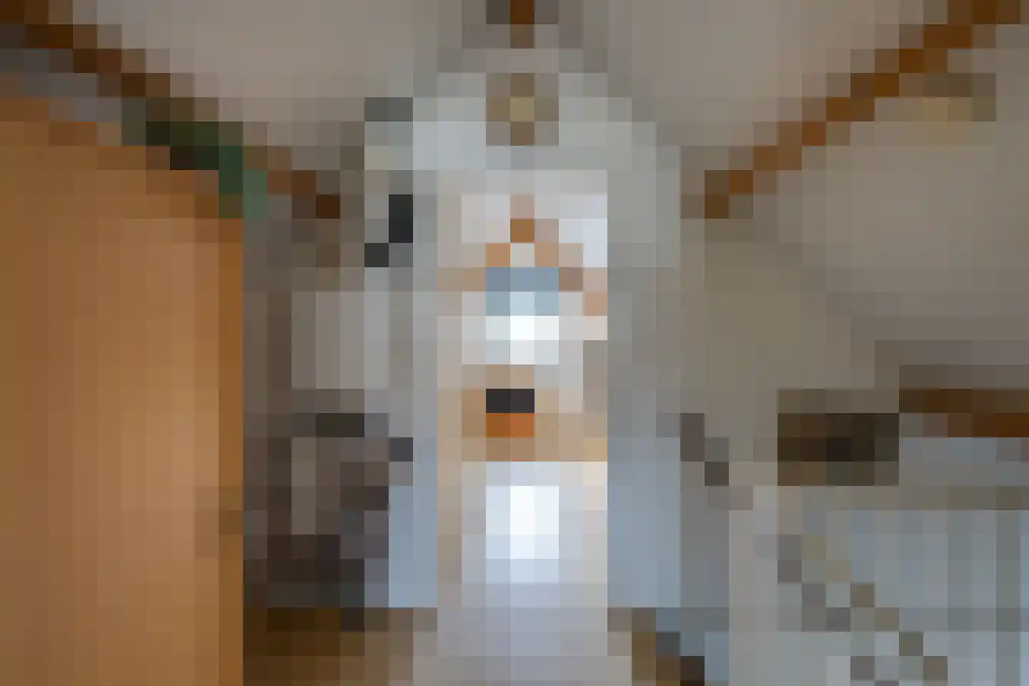 Vrouwenmantel 6 Berkel-Enschot thumbnail 32