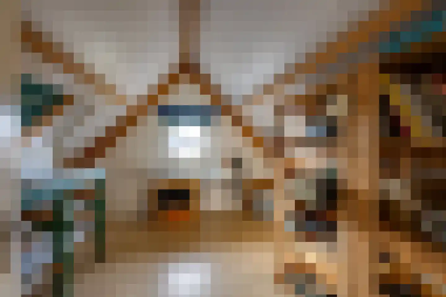 Vrouwenmantel 6 Berkel-Enschot thumbnail 33