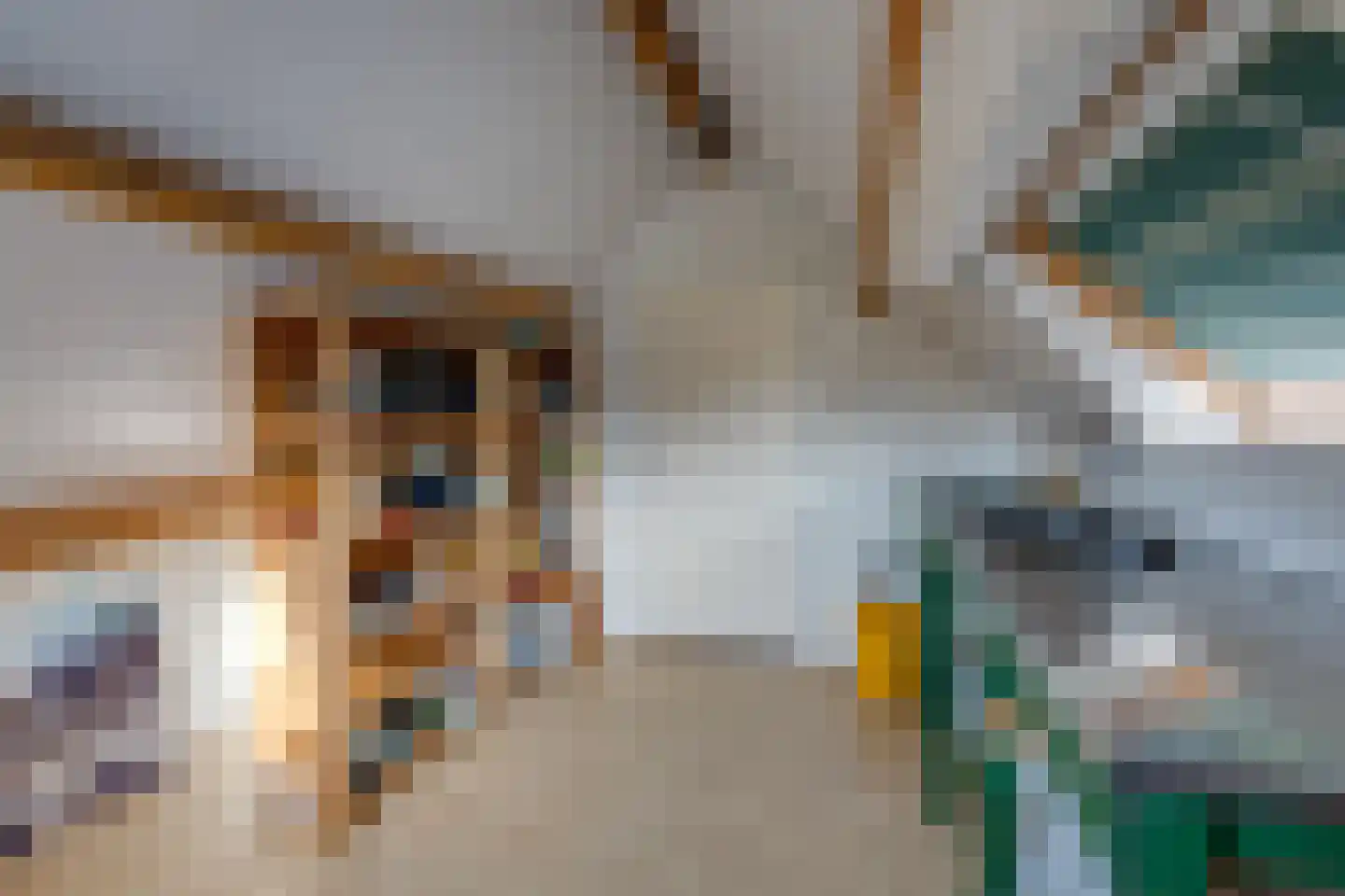 Vrouwenmantel 6 Berkel-Enschot thumbnail 34