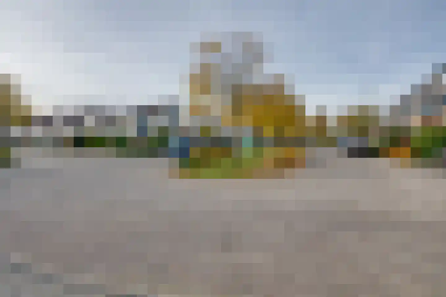Vrouwenmantel 6 Berkel-Enschot thumbnail 4