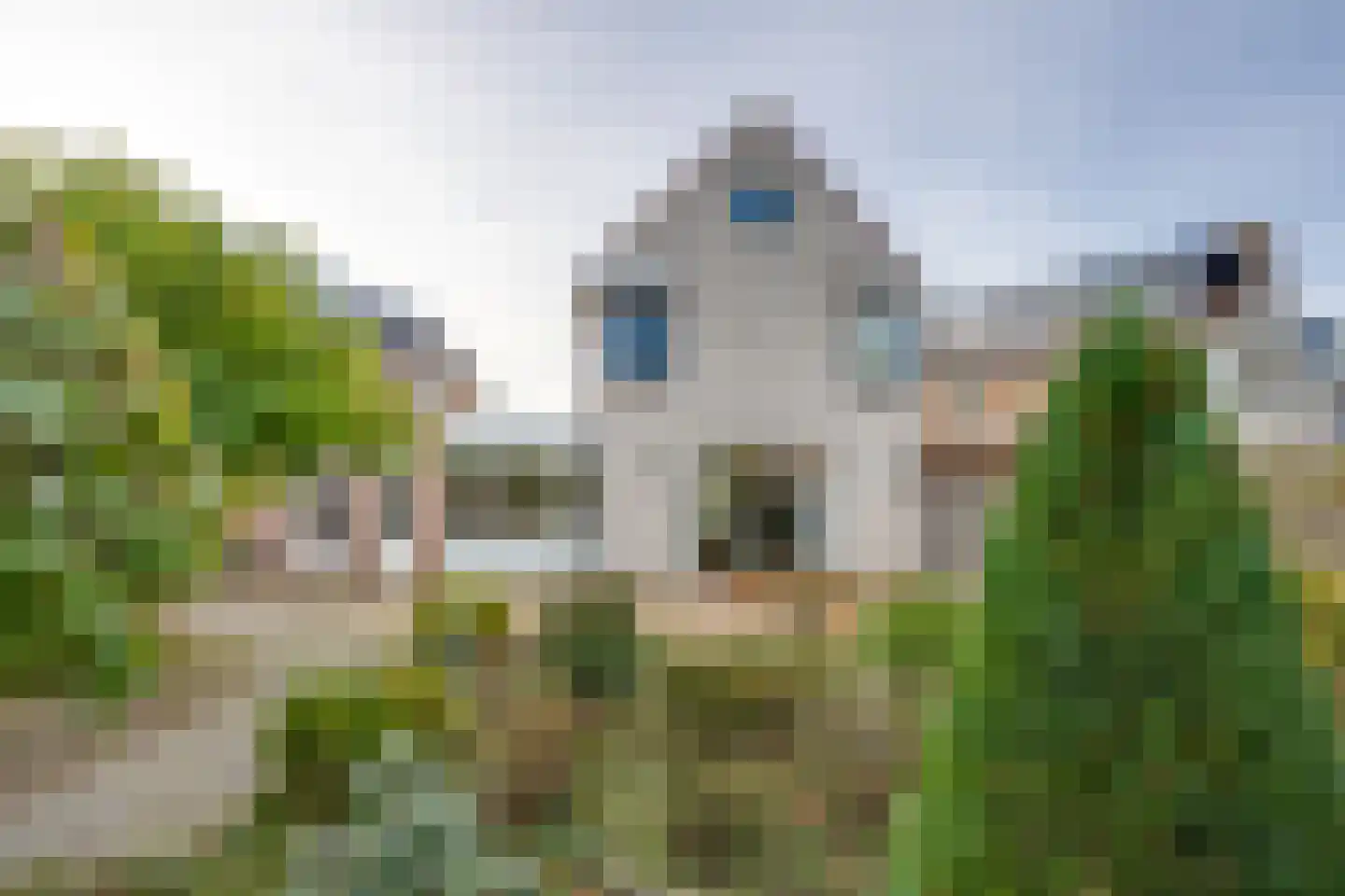 Vrouwenmantel 6 Berkel-Enschot thumbnail 40