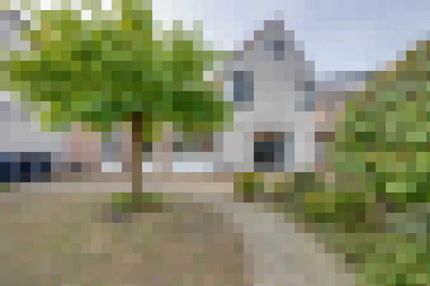 Vrouwenmantel 6 Berkel-Enschot thumbnail 41