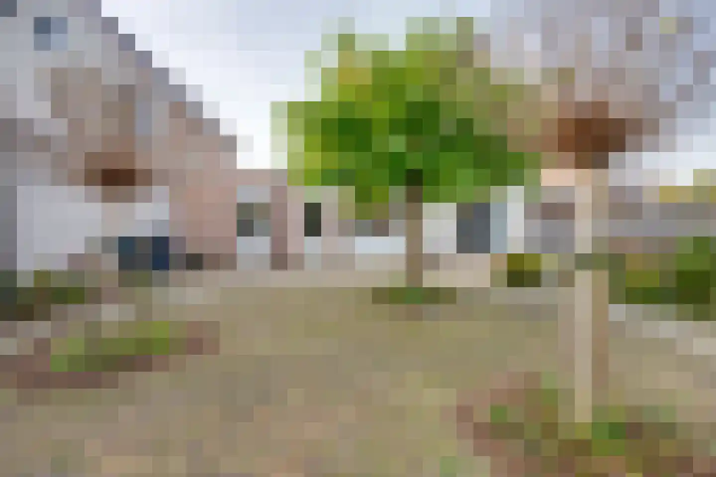 Vrouwenmantel 6 Berkel-Enschot thumbnail 42