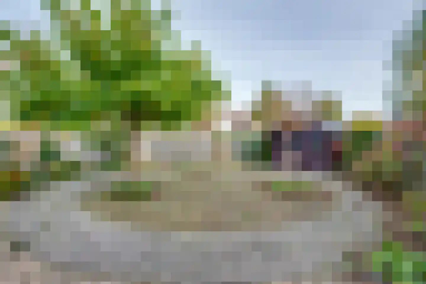 Vrouwenmantel 6 Berkel-Enschot thumbnail 43