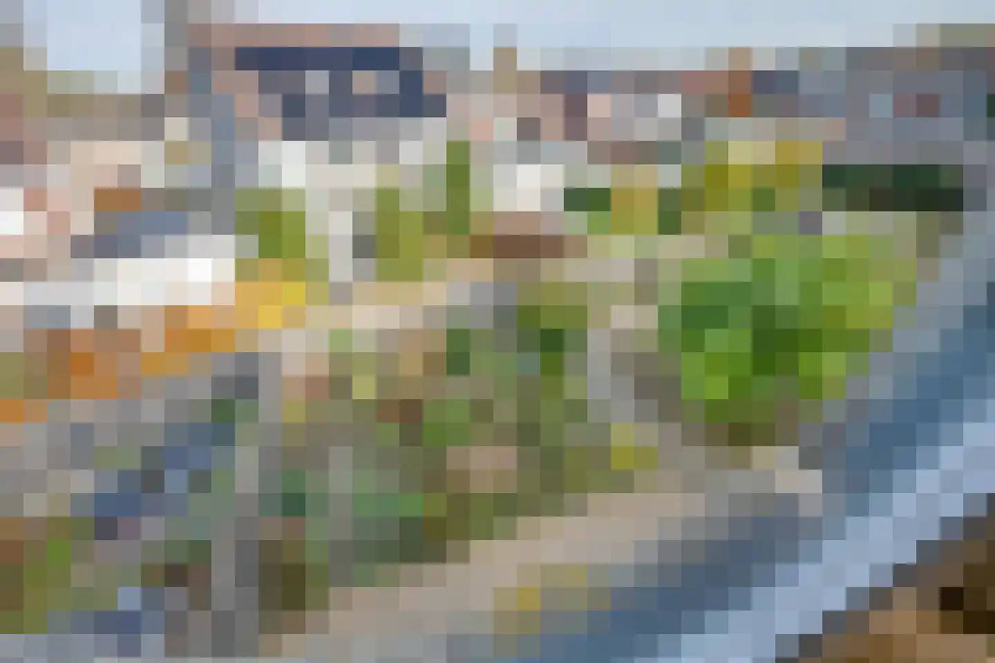 Vrouwenmantel 6 Berkel-Enschot thumbnail 45