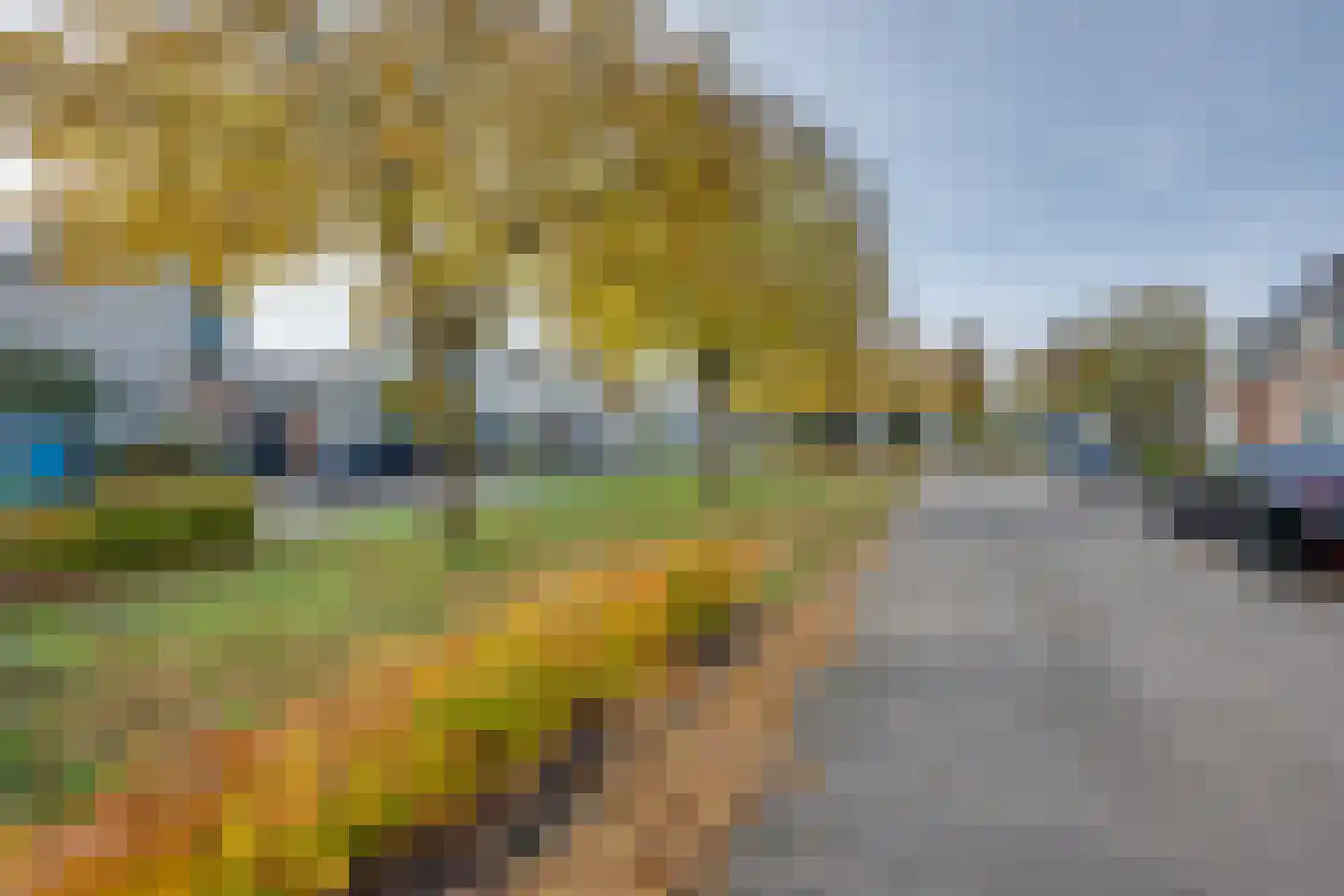 Vrouwenmantel 6 Berkel-Enschot thumbnail 5