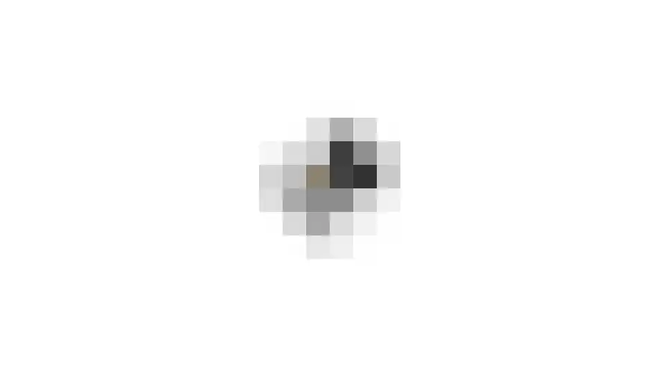 Vrouwenmantel 6 Berkel-Enschot thumbnail 59