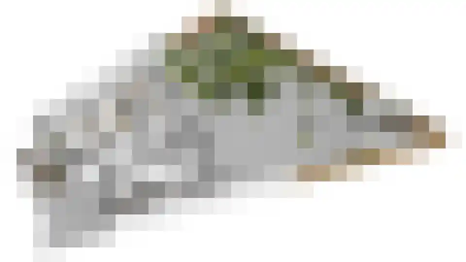 Vrouwenmantel 6 Berkel-Enschot thumbnail 62