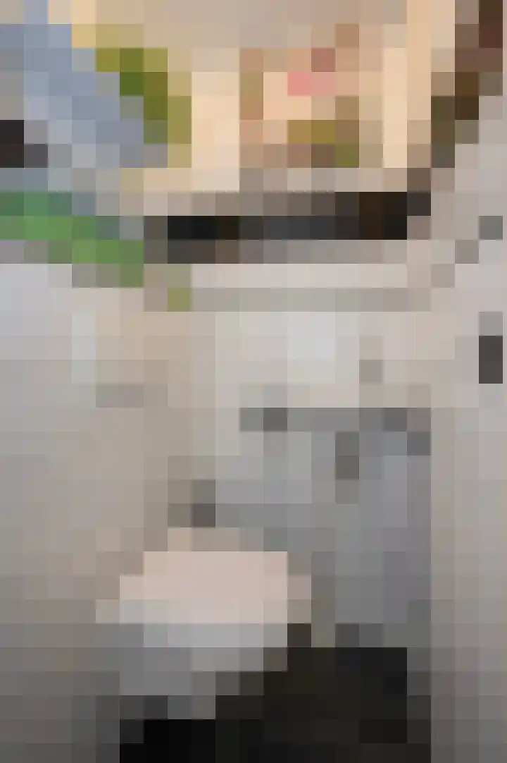 Vrouwenmantel 7 Breukelen thumbnail 10