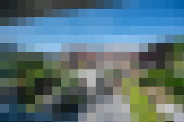 Vrouwenmantel 7 Breukelen thumbnail 23