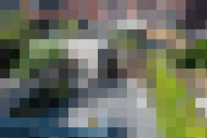 Vrouwenmantel 7 Breukelen thumbnail 25