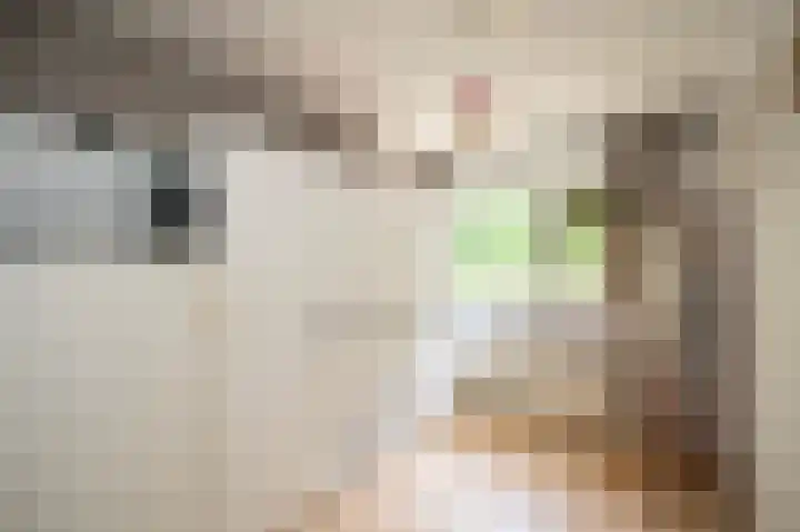 Vrouwenmantel 7 Breukelen thumbnail 27