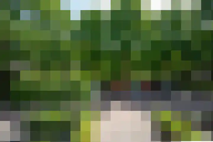Vrouwenmantel 7 Breukelen thumbnail 28