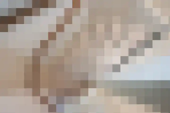 Vrouwenmantel 7 Breukelen thumbnail 33