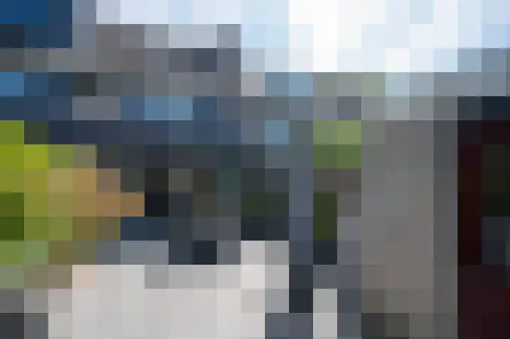 Vrouwenmantel 7 Breukelen thumbnail 38