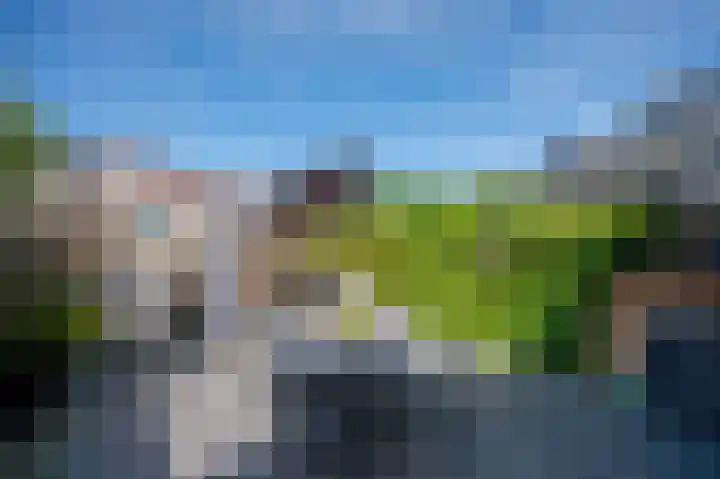 Vrouwenmantel 7 Breukelen thumbnail 39