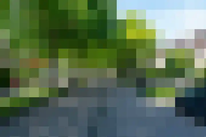 Vrouwenmantel 7 Breukelen thumbnail 40
