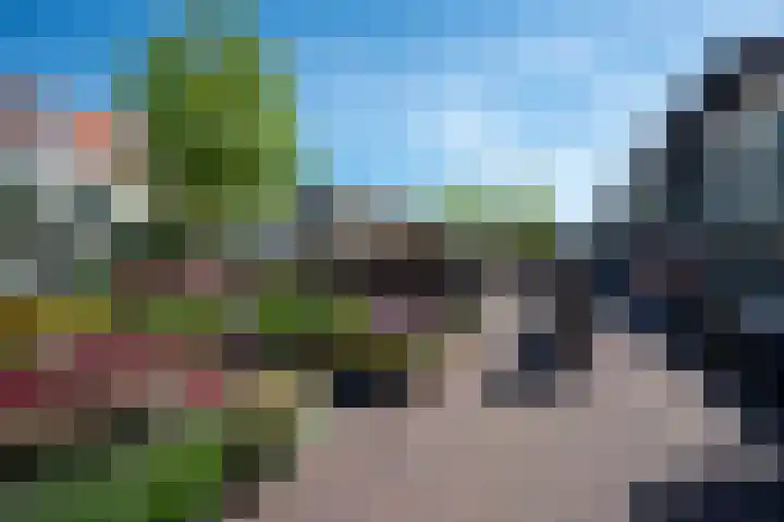 Vrouwenmantel 7 Breukelen thumbnail 44