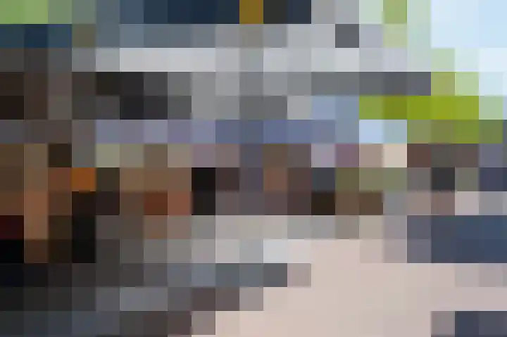Vrouwenmantel 7 Breukelen thumbnail 45