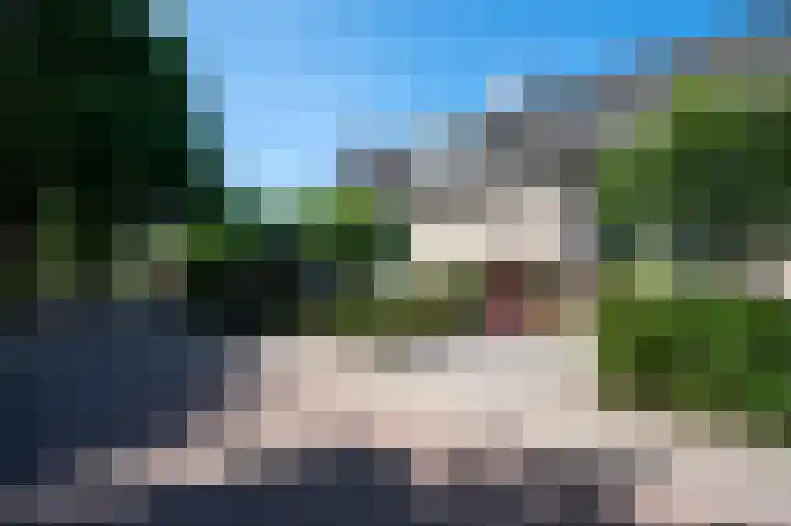 Vrouwenmantel 7 Breukelen thumbnail 6