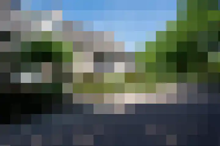 Vrouwenmantel 7 Breukelen thumbnail 8