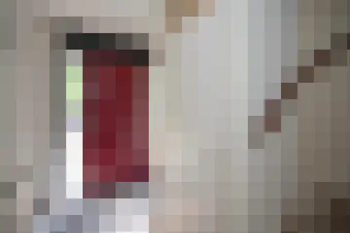 Vrouwenmantel 7 Breukelen thumbnail 9