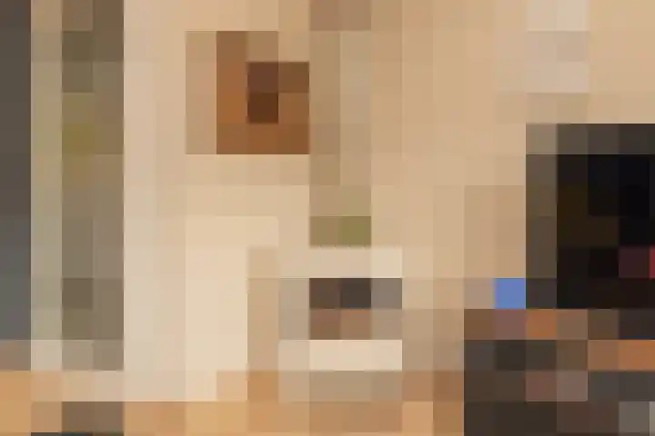 Vrouwenmantel 81 Schoonhoven thumbnail 19