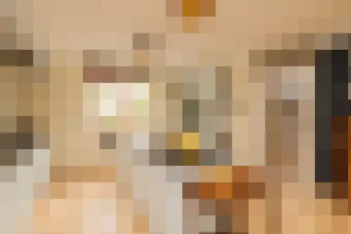 Vrouwenmantel 81 Schoonhoven thumbnail 22