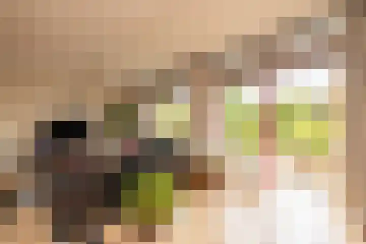 Vrouwenmantel 81 Schoonhoven thumbnail 27