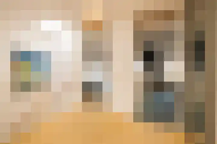 Vrouwenmantel 81 Schoonhoven thumbnail 29