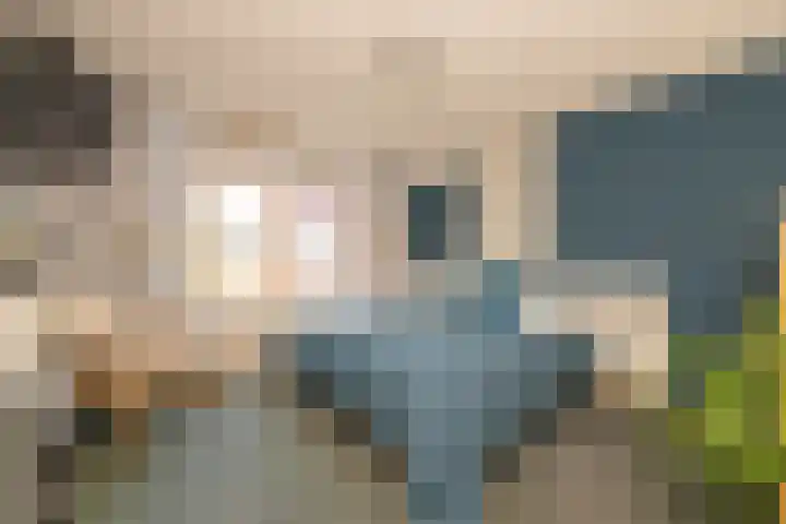 Vrouwenmantel 81 Schoonhoven thumbnail 31
