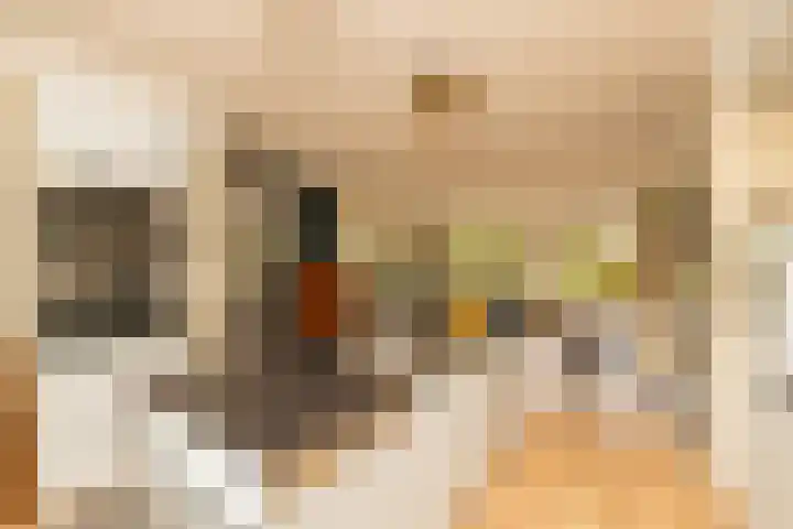 Vrouwenmantel 81 Schoonhoven thumbnail 4