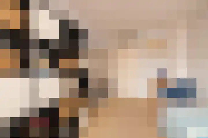 Vrouwenmantel 81 Schoonhoven thumbnail 47