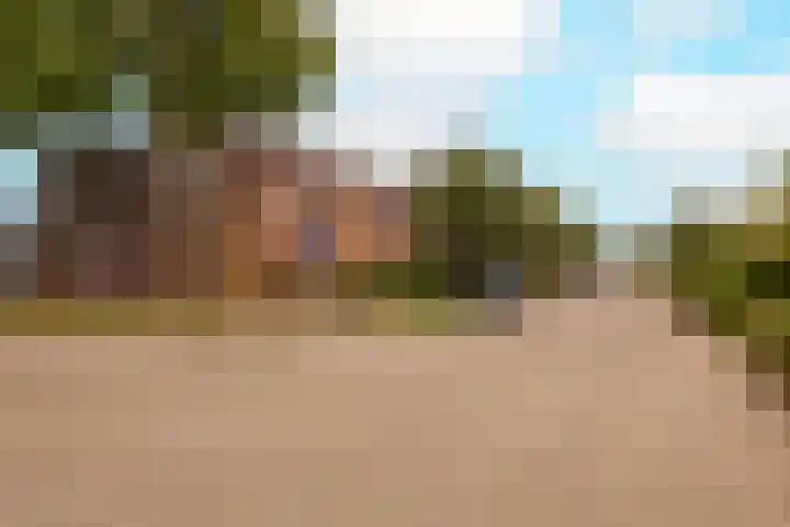 Vrouwenmantel 81 Schoonhoven thumbnail 5