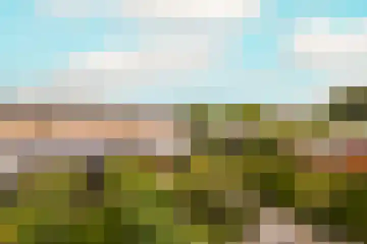 Vrouwenmantel 81 Schoonhoven thumbnail 51