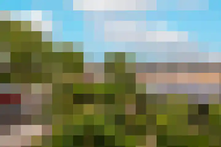 Vrouwenmantel 81 Schoonhoven thumbnail 52