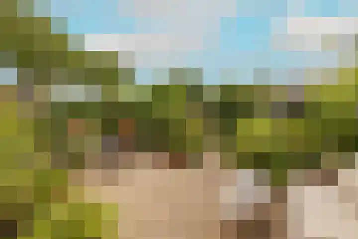 Vrouwenmantel 81 Schoonhoven thumbnail 53