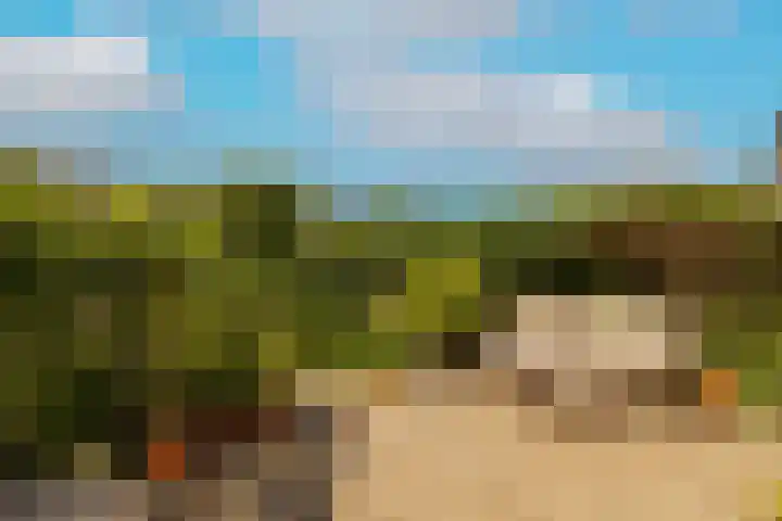Vrouwenmantel 81 Schoonhoven thumbnail 54